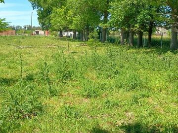 Venta Terreno Lote Casa Pileta 1 Hectárea Cañuelas