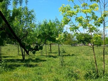 Venta Terreno Lote Casa Pileta 1 Hectárea Cañuelas