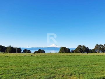 PARCELA CON VISTA Y ACCESO A LAGO EN SECTOR LOS BAJOS.