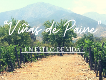Parcela en Venta en M34297 - Venta Parcela Paine - 5000Mts