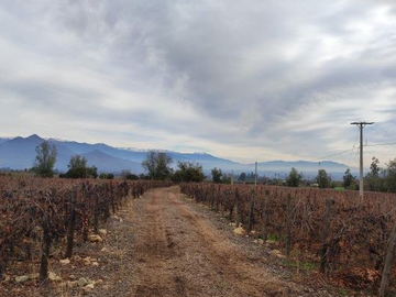 Parcela en Venta en M34297 - Venta Parcela Paine - 5000Mts