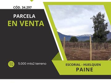 Parcela en Venta en M34297 - Venta Parcela Paine - 5000Mts