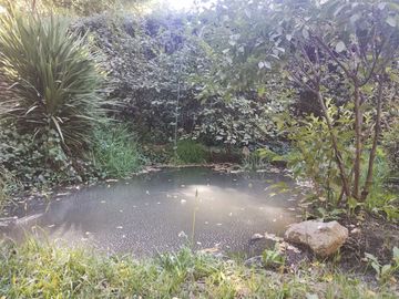 Terreno con ROL propio y casa en San Vicente