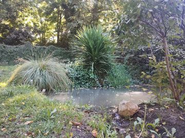 Terreno con ROL propio y casa en San Vicente