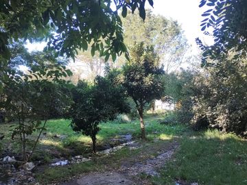 Terreno con ROL propio y casa en San Vicente