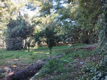 Terreno con ROL propio y casa en San Vicente