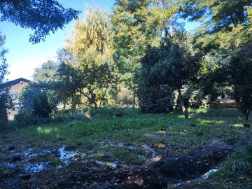 Terreno con ROL propio y casa en San Vicente