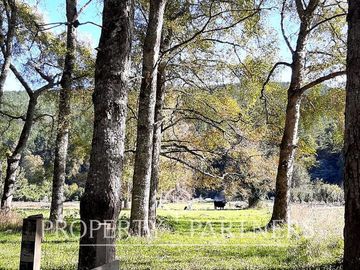 Preciosos terrenos orilla Rio Cruces