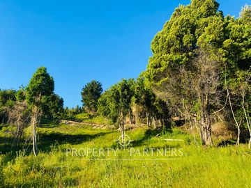 EXCLUSIVO PROYECTO BORDE LAGO RANCO DE 8 MACRO LOTES