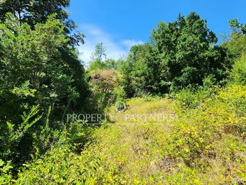10Ha ribera sur del Lago Pullinque