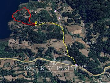 10Ha ribera sur del Lago Pullinque