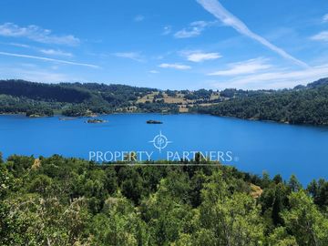 10Ha ribera sur del Lago Pullinque