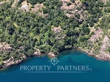 10Ha ribera sur del Lago Pullinque