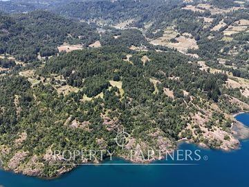 10Ha ribera sur del Lago Pullinque