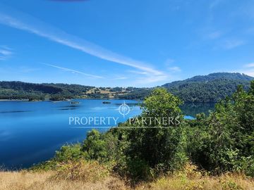 10Ha ribera sur del Lago Pullinque