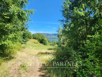 10Ha ribera sur del Lago Pullinque
