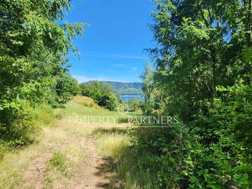 10Ha ribera sur del Lago Pullinque