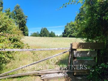10Ha ribera sur del Lago Pullinque