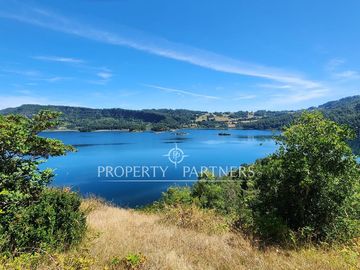 10Ha ribera sur del Lago Pullinque