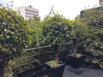 DEPARTAMENTO EN VENTA EN POLANCO