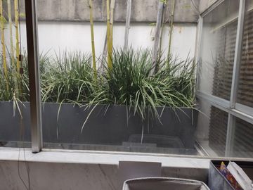 DEPARTAMENTO EN VENTA EN POLANCO