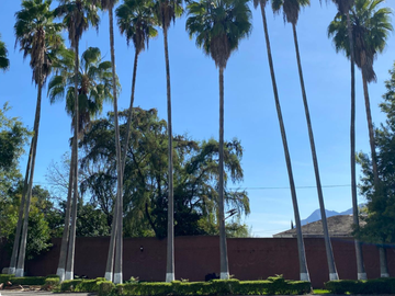 Quinta Santiago