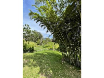 Finca en venta en el Carmen de Viboral