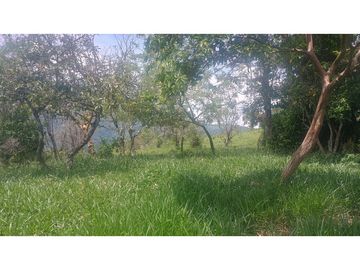 Venta de Lote en Venecia (Ant)