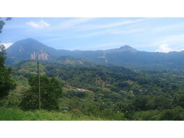 Venta de Lote en Venecia (Ant)