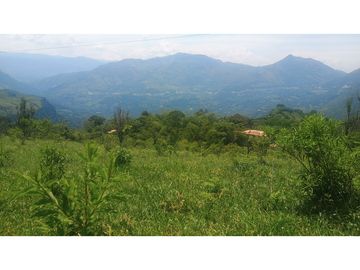 Venta de Lote en Venecia (Ant)