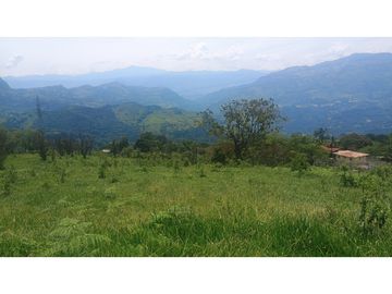 Venta de Lote en Venecia (Ant)
