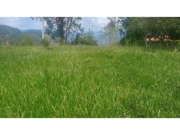 Venta de Lote en Venecia (Ant)