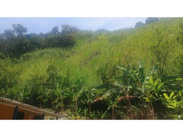 Venta de Lote en Venecia (Ant)