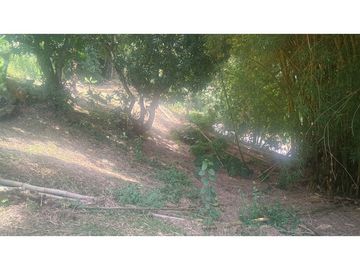 Venta de Lote en Venecia (Ant)