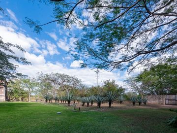 HACIENDA OASIS DE RELAX