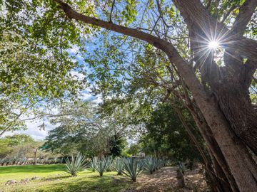 HACIENDA OASIS DE RELAX