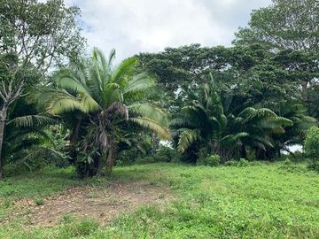 OCASION! TERRENO DE 169 100 M2  EN IQUITOS - $75 000