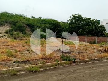 VENTA DE TERRENO EN BARBASQUILLO