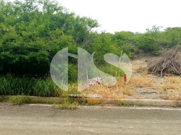 VENTA DE TERRENO EN BARBASQUILLO