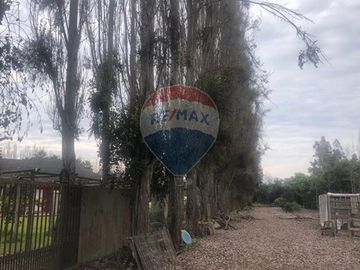 Parcela con paltos y nogales crecidos en M. Pinto
