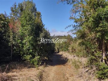 Sitio en Venta en Hueyusca