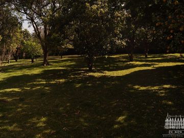 VILLA DEL JAZMIN