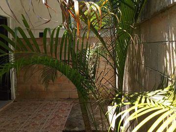 SAN  PEDRO CHOLUL EN VENTA UNA SOLA PLANTA