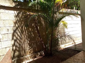 SAN  PEDRO CHOLUL EN VENTA UNA SOLA PLANTA