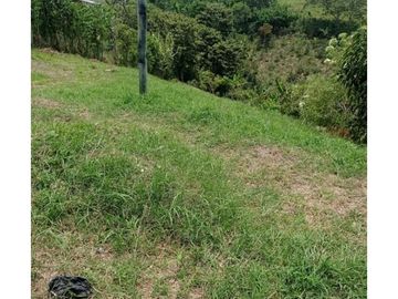 SE VENDE LOTE EN ARABIA TIENE CARRETERA PAVIMENTADA