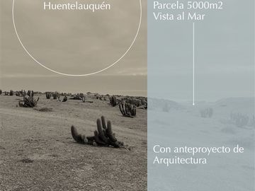 Parcela en Venta en Huentalauquen