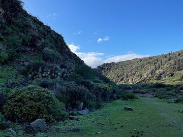 Parcela en Venta en Huentalauquen