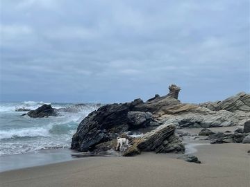 Parcela en Venta en Huentalauquen