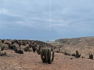 Parcela en Venta en Huentalauquen