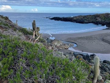 Parcela en Venta en Huentalauquen